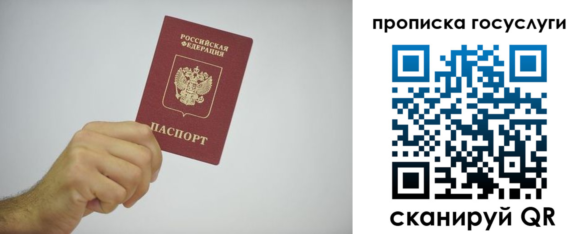 прописка законно в Корсакове